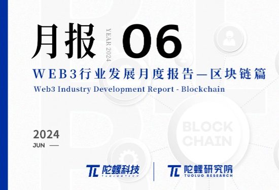 2024年6月Web3行业月度发展报告区块链篇 |陀螺研究院缩略图