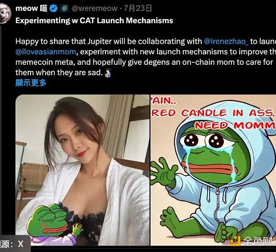 Jupiter 合作 Irene Zhao 推迷因币 侦探曝诈骗黑历史缩略图
