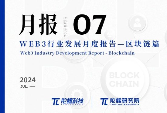 2024年7月Web3行业月度发展报告区块链篇 |陀螺研究院缩略图